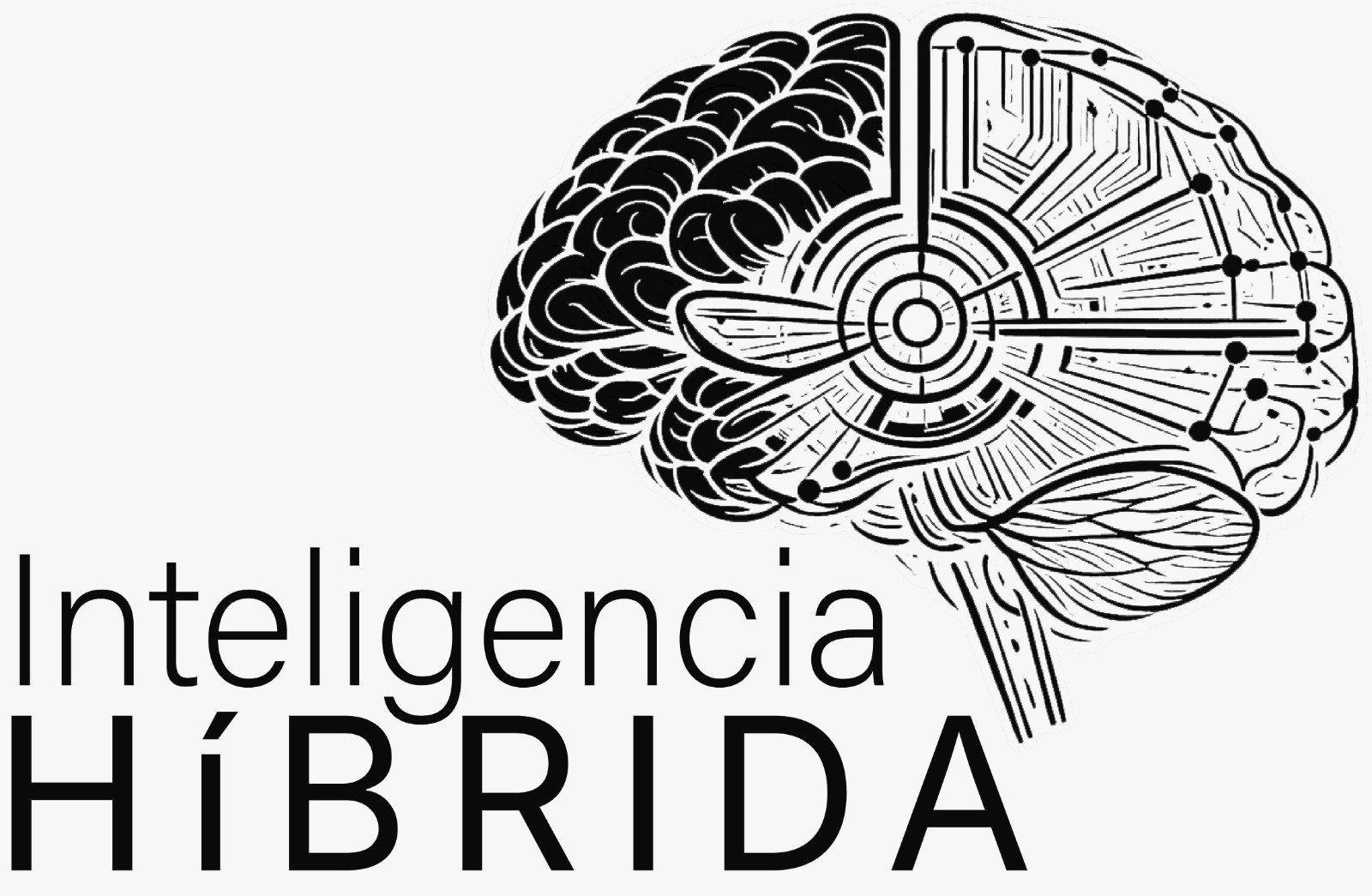 Inteligencia Híbrida
